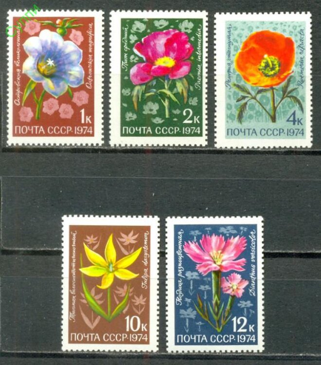 СССР, 1974. (4407-11) Цветы