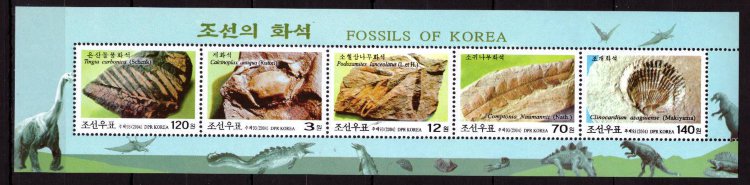 Северная Корея, 2004. [4759-63] Окаменелости (сцепка)  