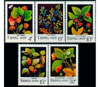 СССР, 1982. (5273-77) Дикорастущие ягоды