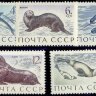 СССР, 1971. (4037-41) Морские млекопитающие