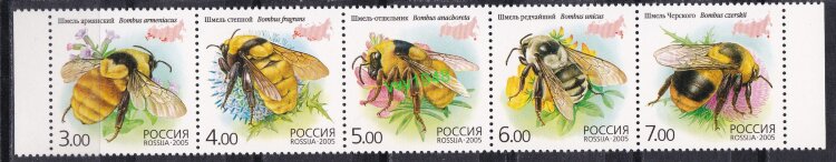 Россия, 2005. (1034-38) Фауна. Насекомые