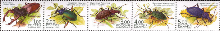 Россия, 2003. (0868-72) Фауна, жуки