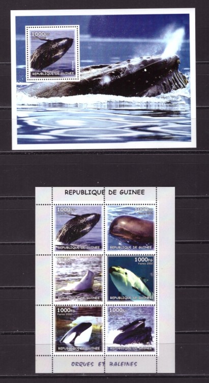 Гвинея, 2002. (02107) Морская фауна, киты (мл+блок)