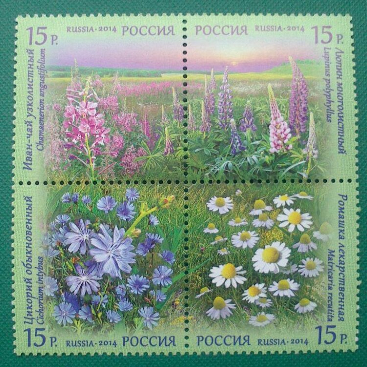 Россия, 2014. (1810-13) Флора России. Продолжение серии