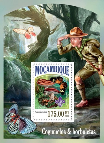 Мозамбик, 2013. (13527) Скауты (мл+блок)