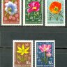СССР, 1974. (4407-11) Цветы