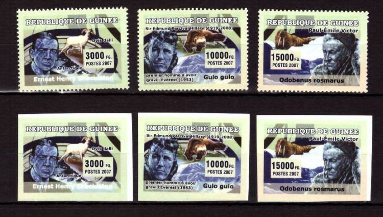Гвинея, 2007. (gu-20) Полярная фауна
