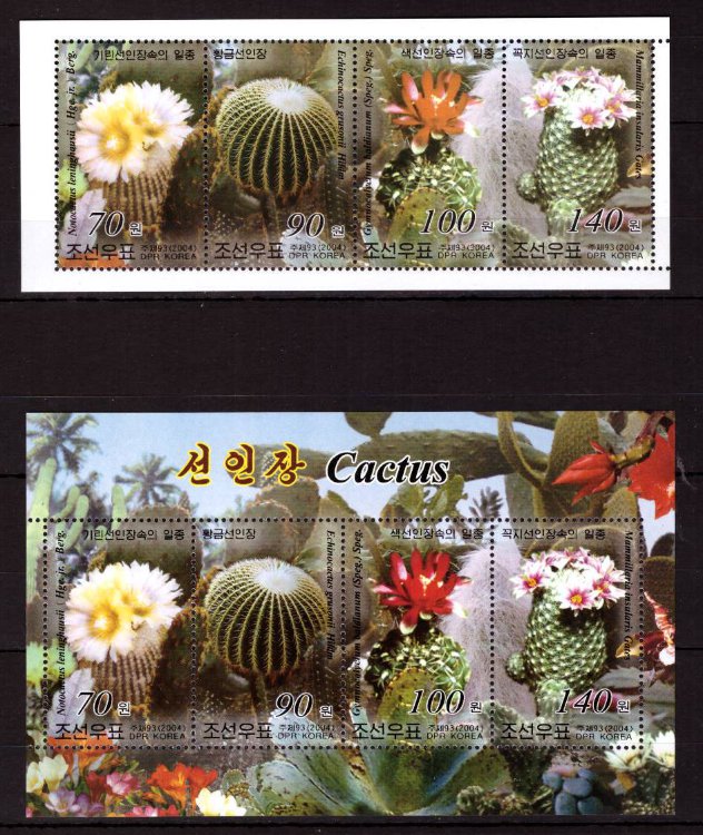 Северная Корея, 2004. [4764-67] Кактусы (сцепка+блок)