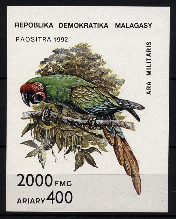 Мадагаскар, 1992. Птицы, попугаи  (блок)
