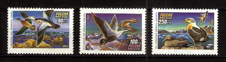 Россия, 1993. (0101-03) Утки