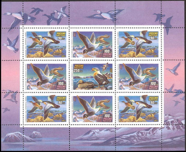 Россия, 1993. (0101-03) Утки (мл)