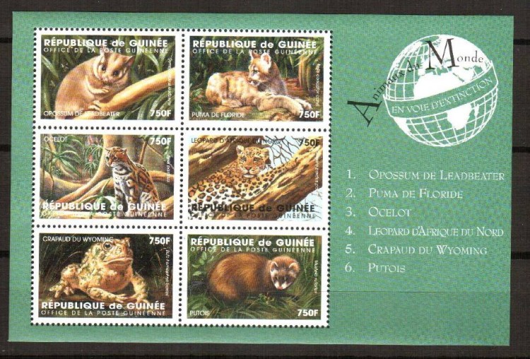 Гвинея, 2000. Фауна (мл) 