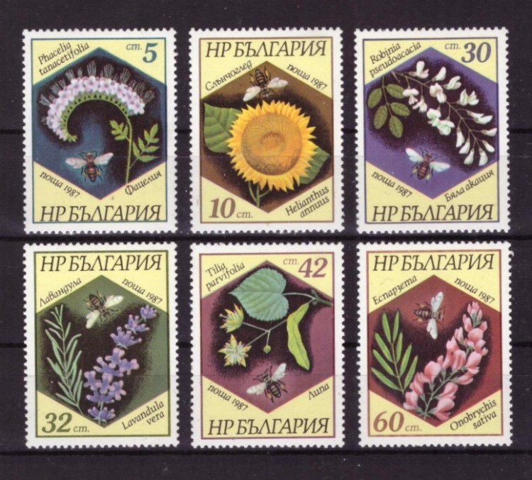 Болгария, 1987. Растения  