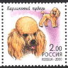 Россия, 2000. (0605-09) Фауна. Декоративные собаки