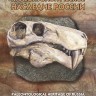 Россия, 2020. (2655-58) Палеонтологическое наследие России (мл)