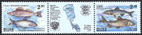 Россия, 2000. (0629-30) Фауна. Рыбы Чудско-Псковского озера