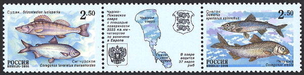 Россия, 2000. (0629-30) Фауна. Рыбы Чудско-Псковского озера