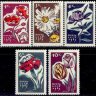 СССР, 1965. (3192-96) Цветы