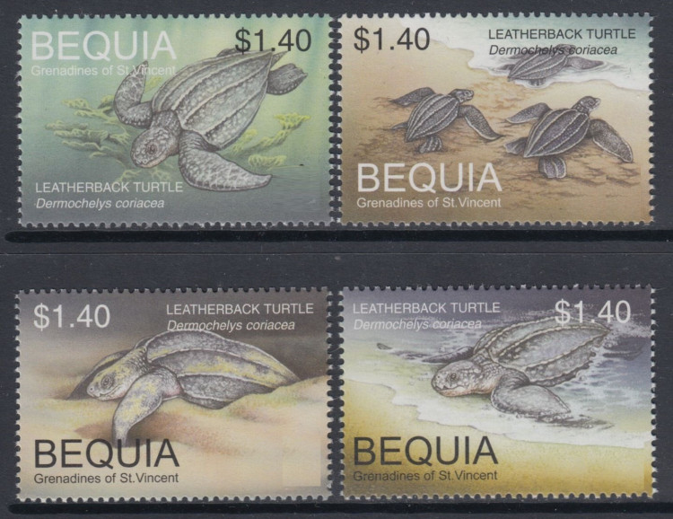 Бекуа, 2001. Морская фауна, черепахи