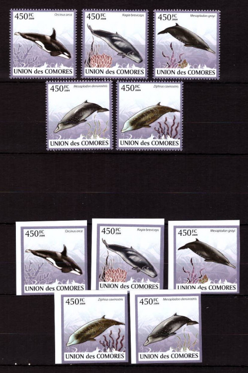 Коморские о-ва, 2009. (cm-41) Морская фауна, Киты (с зубцами и бз)