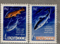 СССР, 1962. (2732-33) Рыбы