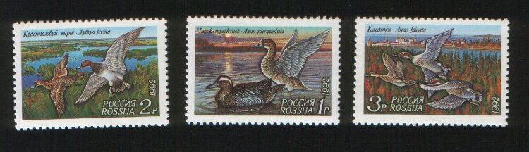 Россия, 1992. (0035-37) Утки