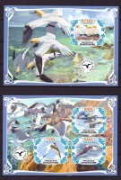 Габон, 2019. (1927з) Морские птицы (мл+блок) (бз)