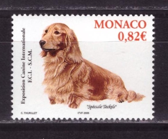 Монако, 2005. Фауна, собаки