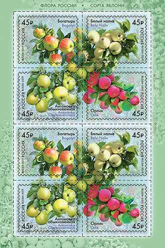 Россия, 2019. (2456-59) Флора России. Сорта яблони (лист)