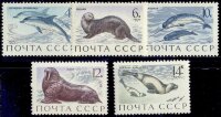 СССР, 1971. (4037-41) Морские млекопитающие