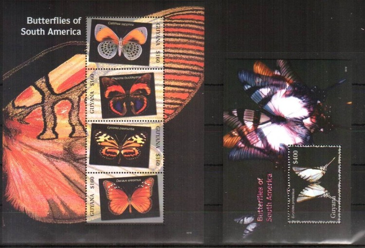 Гайана, 2006. Насекомые, бабочки (мл+блок)