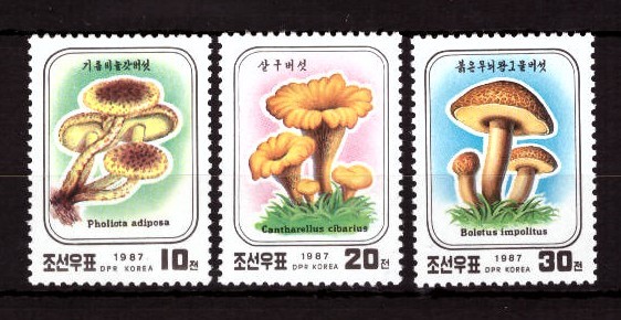 КНДР, 1987. Грибы 