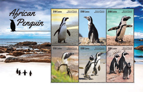 Либерия, 2015. [lib1509] Африканские пингвины (м\л+блок) 