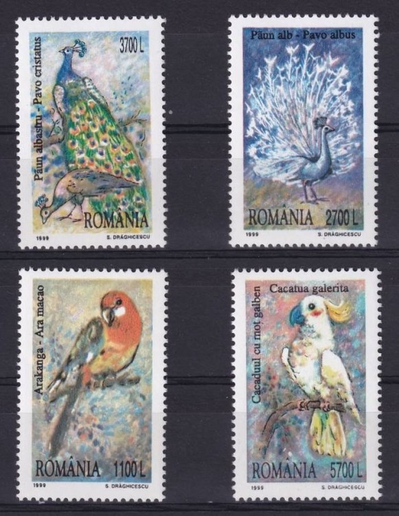 Румыния, 1999. Птицы  