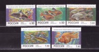 Россия, 1998. (0425-29) Аквариумные рыбы