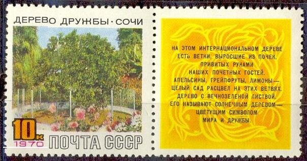 СССР, 1970. (3868) Дерево Дружбы в Сочи