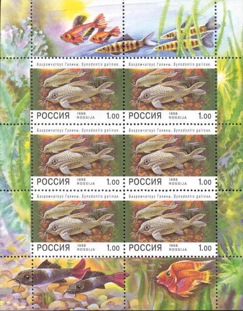 Россия, 1998. (0427) Аквариумные рыбы (мл)