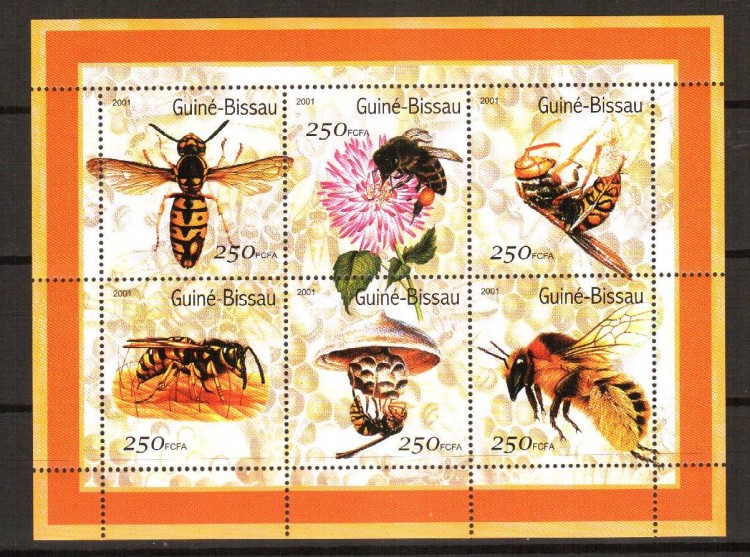 Гвинея-Биссау, 2001. Насекомые (мл)