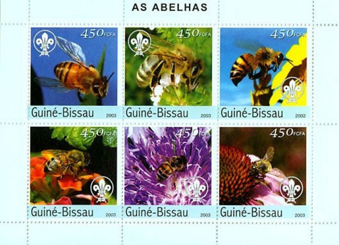 Гвинея-Биссау, 2003. Пчелы (мл)