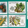 СССР, 1980. (5120-24) Породы деревьев и кустарников