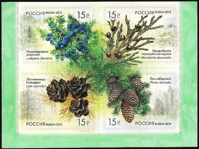 Россия, 2013. (1682-85) Флора России. Шишки хвойных деревьев и кустарников
