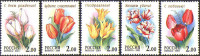 Россия, 2001. (0657-61) Тюльпаны