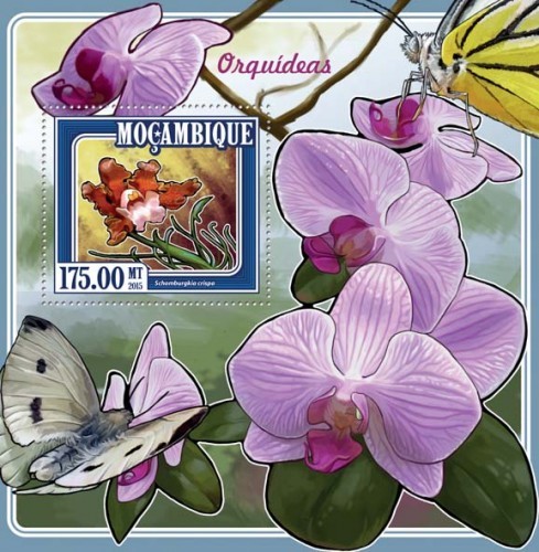 Мозамбик, 2015. (15124) Цветы, орхидеи (мл+блок)