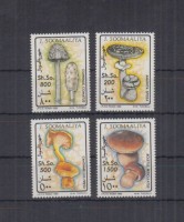Сомали, 1993. Грибы 
