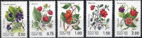 Россия, 1998. (0447-51) Флора. Лесные ягоды