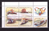 Куба, 2000. Фауна, улитки (04) 
