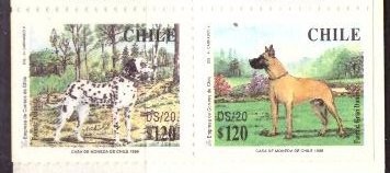 Чили, 1998. Собаки (01)