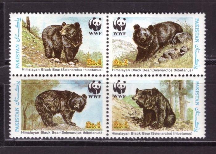 Пакистан, 1989. Фауна, медведи