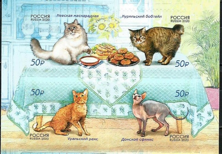 Россия, 2020. (2611-14) Фауна России, кошки