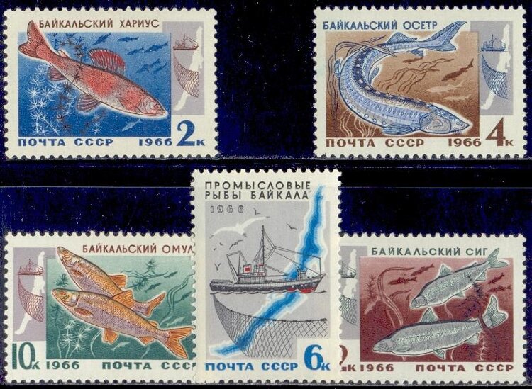 СССР, 1966. (3399-03) Рыбы байкала